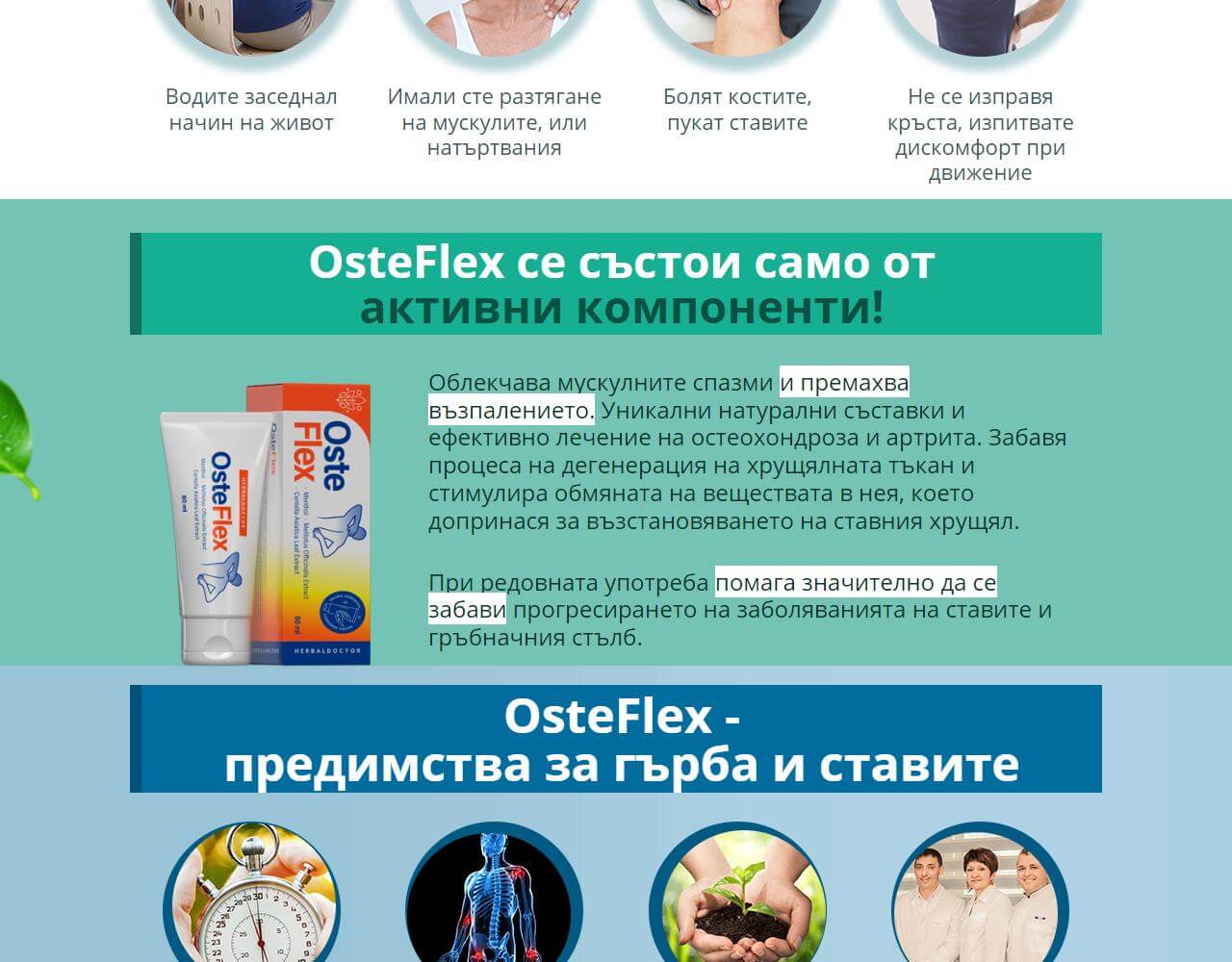 Osteflex 2